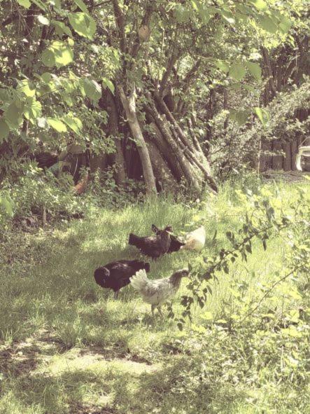 Familienfreundliche Grosszuegige Ferienwohnung Schlierachwelle Zwischen Schliersee Und Tegernsee Hausham Dış mekan fotoğraf